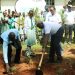 NCBA Bank, KCCA and Dentons Establish Micro Forest at Nakasero Primary School to Mark World Environment Day
