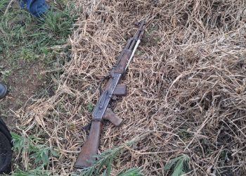 Firewood hunt leads to shocking discovery of a missing gun