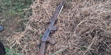 Firewood hunt leads to shocking discovery of a missing gun