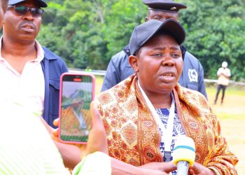 How NRM bosses turned Kalangala yellow as NUP lost grip