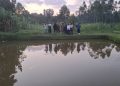 Fish farming transforming household incomes in Kyenjojo, says Deputy RDC