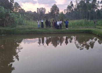 Fish farming transforming household incomes in Kyenjojo, says Deputy RDC