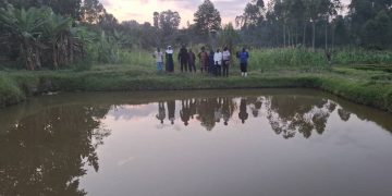 Fish farming transforming household incomes in Kyenjojo, says Deputy RDC