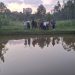 Fish farming transforming household incomes in Kyenjojo, says Deputy RDC