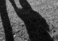Woman jailed after abducting newborn from Ugandan health facility