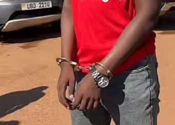 Renowned tiktoker Chicken Chicken arrested over malicious damage of a vehicle