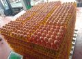 How European Union Support Helped Transform Pristine Foods Ltd into Uganda’s Leading Egg Processing Company