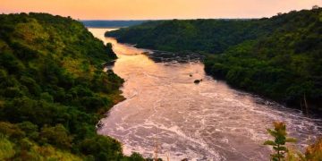 Court Fines NYTIL Shs180 Million for Polluting River Nile and Neighbouring Land