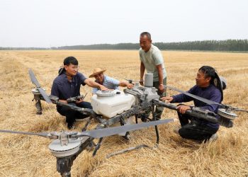 CPC plays steering role in China’s development — Kyrgyz expert