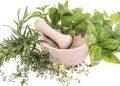 IRCU Backs Indigenous Herbal Research, Calls for Tougher Crackdown on Fraudulent Practitioners