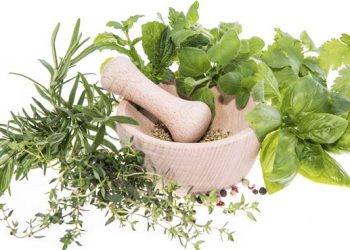 IRCU Backs Indigenous Herbal Research, Calls for Tougher Crackdown on Fraudulent Practitioners