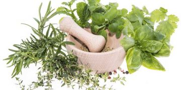 IRCU Backs Indigenous Herbal Research, Calls for Tougher Crackdown on Fraudulent Practitioners