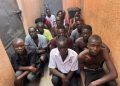 Police arrest 22 in major Arua crime crackdown, seize marijuana, housebreaking tools