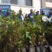 Liberty Life Launches 5,000-Tree Climate Initiative at Seeta University