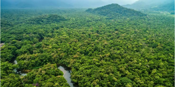 How Africa’s resource wealth continues to fuel war, shape geopolitics