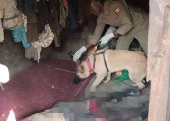 Police dog ‘King’ tracks down murder suspect in Kween district