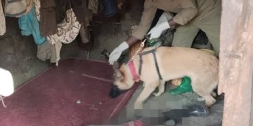 Police dog ‘King’ tracks down murder suspect in Kween district