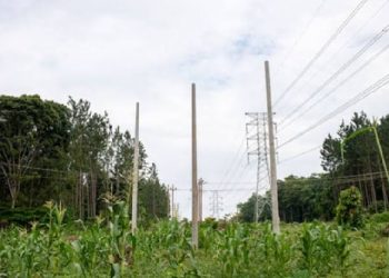Uganda Electricity prices reset as global fuel costs and dollar pressure push new tariffs for Q3 2026