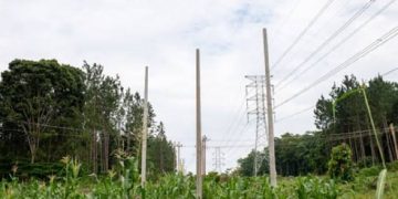 Uganda Electricity prices reset as global fuel costs and dollar pressure push new tariffs for Q3 2026