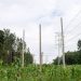 Uganda Electricity prices reset as global fuel costs and dollar pressure push new tariffs for Q3 2026