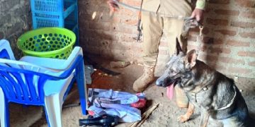 Police dog trail leads police to suspected burglary hideout as stolen property recovered in Bugiri