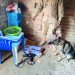 Police dog trail leads police to suspected burglary hideout as stolen property recovered in Bugiri