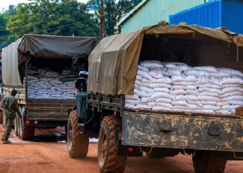 Museveni orders OPM to use UPDF, Prisons for Karamoja food relief distribution