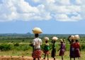 Drought, poverty fuel rise in child labour, early marriage in Karamoja sub region