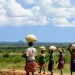 Drought, poverty fuel rise in child labour, early marriage in Karamoja sub region
