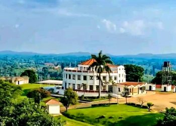 The Tooro We Desire