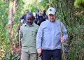 A Gorilla Named Tomáš: A Czech-Ugandan friendship takes root in Bwindi
