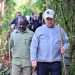 A Gorilla Named Tomáš: A Czech-Ugandan friendship takes root in Bwindi