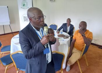 Seven years on, Uganda awaits council to regulate traditional medicine sector
