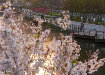 Paddling, camping, birdwatching: How a greener China reshapes urban getaways, lifestyles