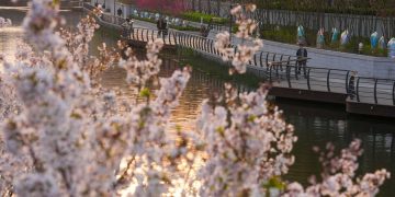 Paddling, camping, birdwatching: How a greener China reshapes urban getaways, lifestyles