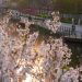 Paddling, camping, birdwatching: How a greener China reshapes urban getaways, lifestyles