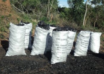 National crackdown on illegal charcoal trade intensifies,  eight arrested in West Nile