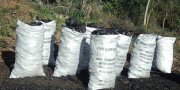 National crackdown on illegal charcoal trade intensifies,  eight arrested in West Nile