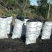 National crackdown on illegal charcoal trade intensifies,  eight arrested in West Nile