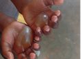 Mother sought after allegedly scalding boiling water on her four-year-old daughter