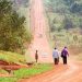 Uganda seeks Shs893bn loan to tarmac Jinja–Kamuli Road