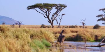 Tanzania-Germany partnership puts communities at heart of Serengeti conservation