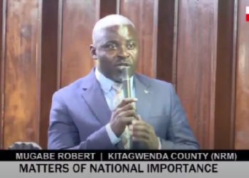 Crocodile death puts Kitagwenda water crisis under spotlight as MP presses government
