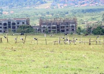 NSSF Moves to Secure Full Possession of Temangalo Land