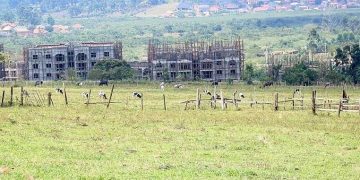 NSSF Moves to Secure Full Possession of Temangalo Land