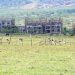 NSSF Moves to Secure Full Possession of Temangalo Land