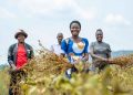 Climate Finance Should Finance Productivity, Not Projects
