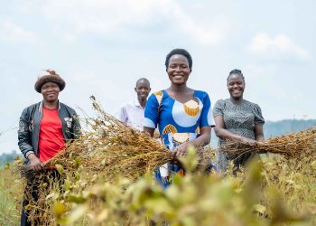Op-Ed: Climate Finance Should Finance Productivity, Not Projects