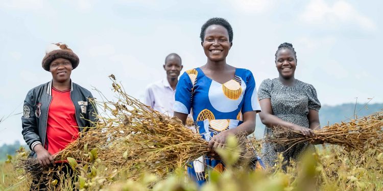 Nankoma women farmers : Courtesy Photo