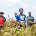 Climate Finance Should Finance Productivity, Not Projects